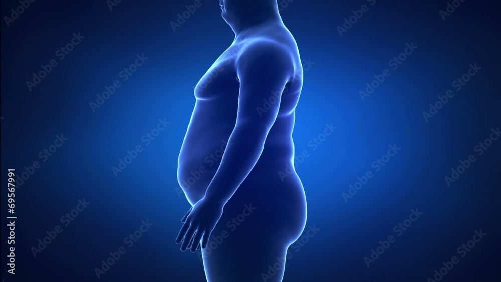 Obesity and healthy life style concept lateral view Obesity and healthy life style concept lateral view