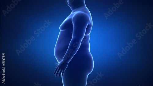 Obesity and healthy life style concept lateral view