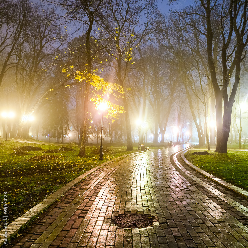 The avenue of autumn city park at night