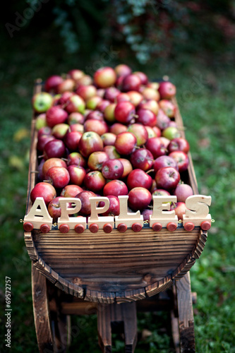 Trolley with apples