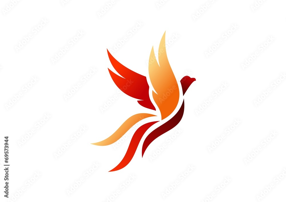 Obraz premium ptak, logo, feniks, latający, jastrząb, orzeł, skrzydła, ikona, symbol