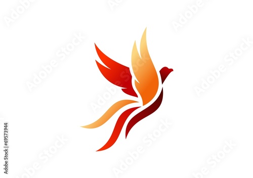 bird,logo,phoenix,flying,hawk,eagle,wings,icon,symbol