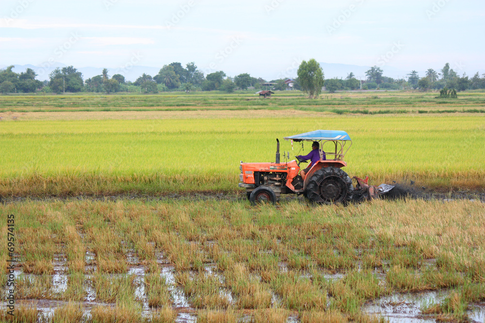 Tractor plowing a rice field Tractor plowing a rice field