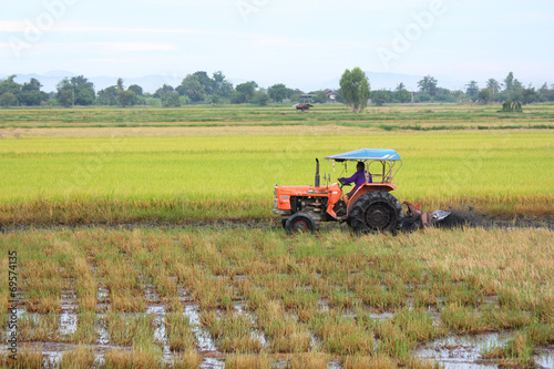 Tractor plowing a rice field