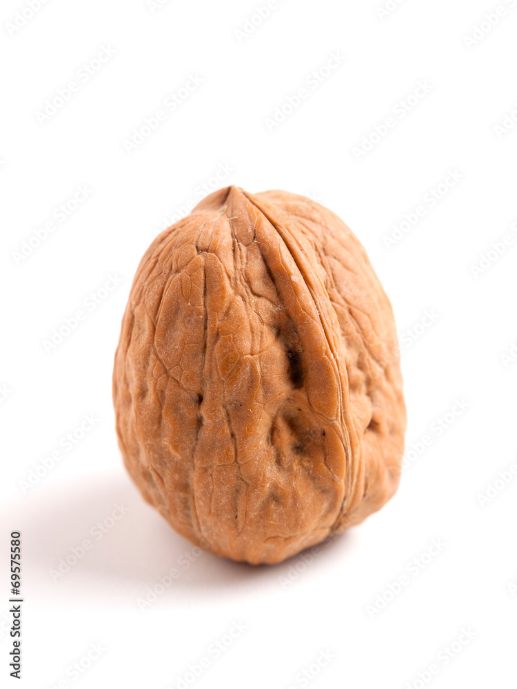 Walnut isolated on white