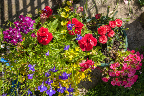 Wallpaper Mural Summer garden Torontodigital.ca