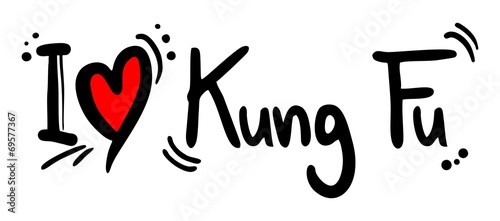 Obraz na plátně Kung fu love