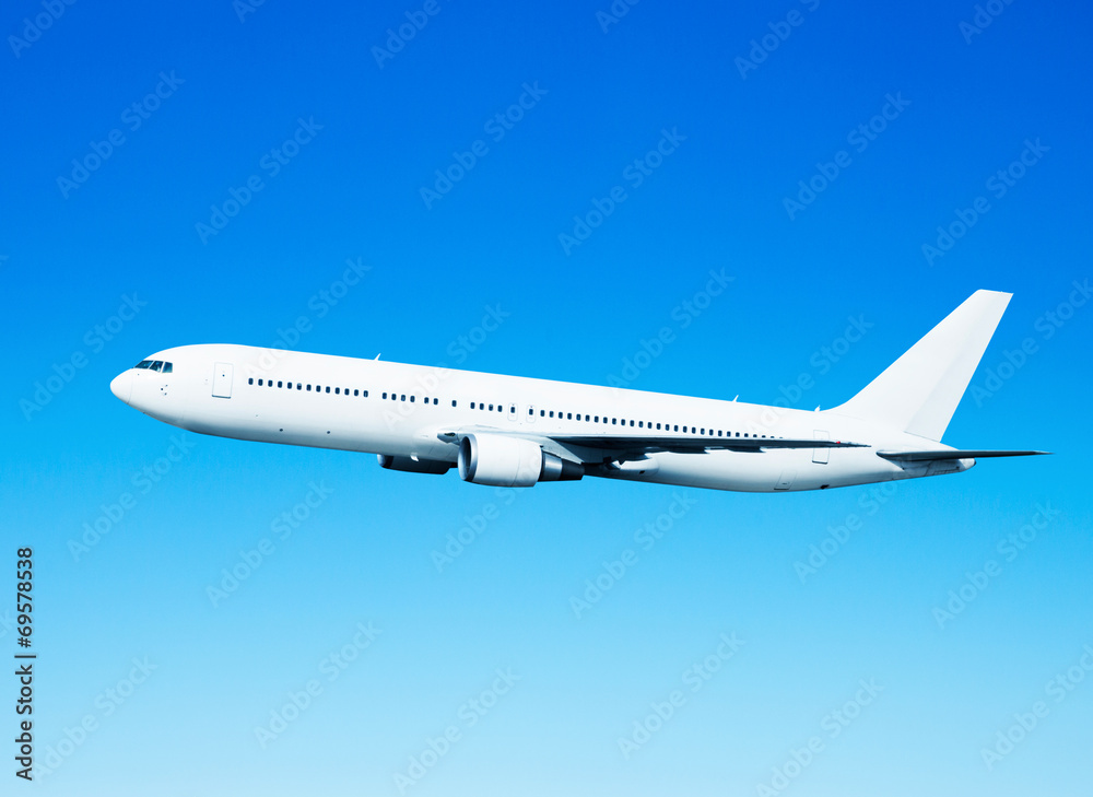 Fototapeta premium airplane in the blue sky
