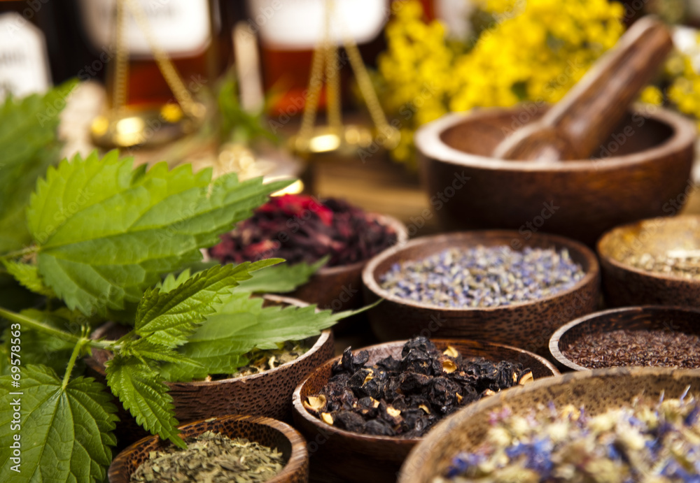 Fresh medicinal herbs on wooden 