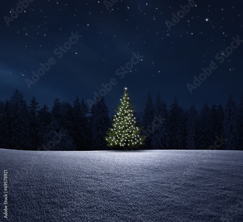Weihnachtsbaum im Wald