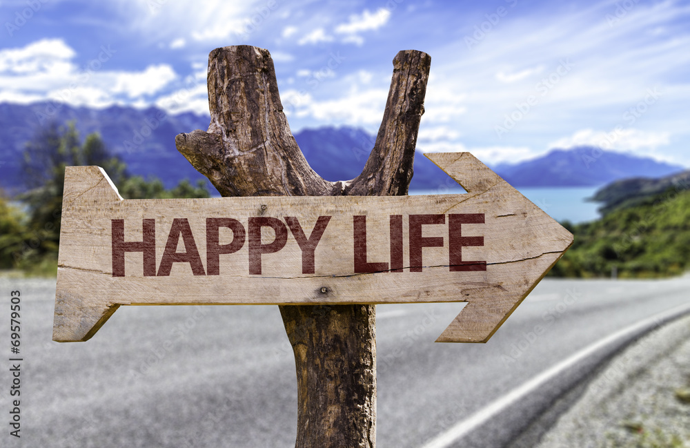 Happy Life wooden sign with a street background