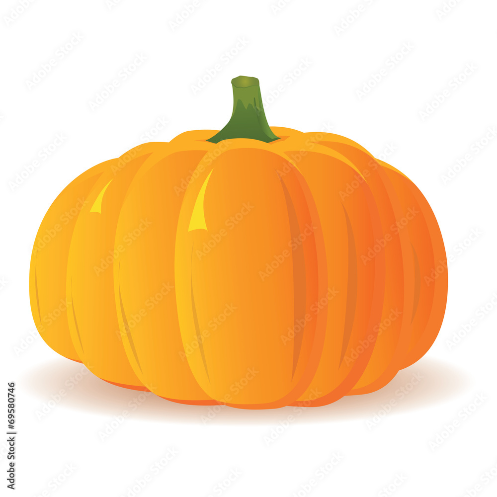 Pumpkin isolated on white background, vector Pumpkin isolated on white background, vector