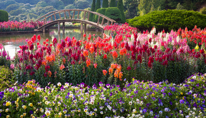 Keuken achterwand Tuin Kleurrijke bloementuin in volle bloei  © beerphotographer