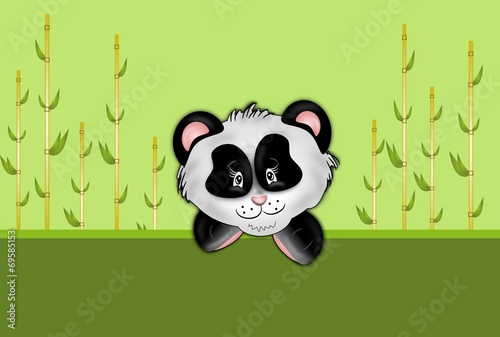 Fototapeta Naklejka Na Ścianę i Meble -  Panda with bamboo background