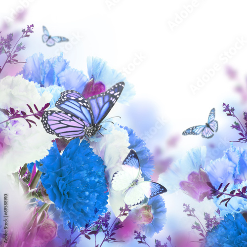 Floral background of roses and butterfly, wild flowers