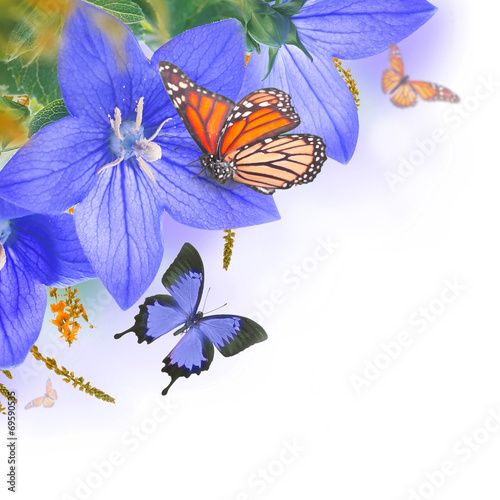 Bouquet of bells and butterfly, floral background