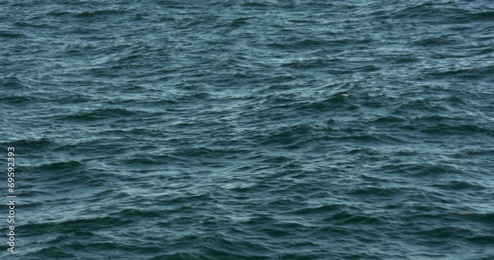Flying over the ocean, waves forming, sparkles and wakes Flying over the ocean, waves forming, sparkles and wakes