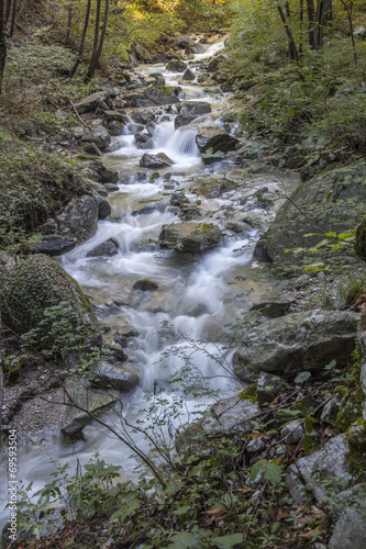 Rushing creek in the woods