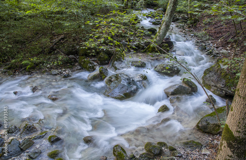 Fototapeta Naklejka Na Ścianę i Meble -  Rushing creek in the woods