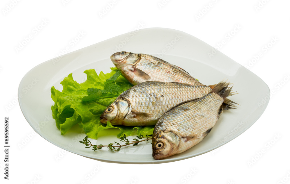 Crucian fish Crucian fish