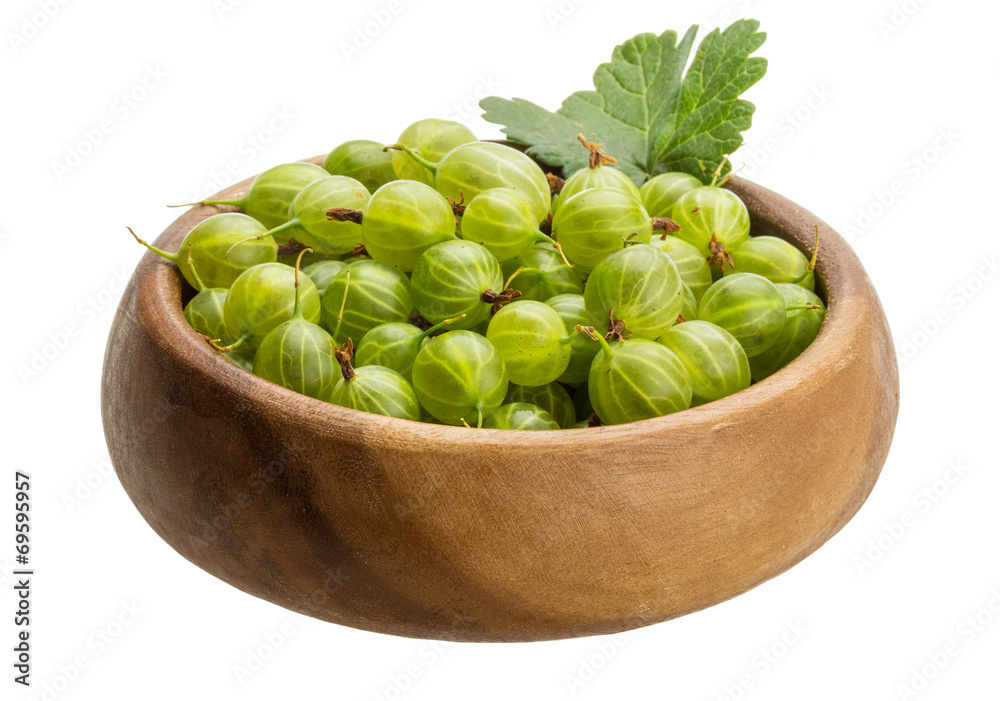Gooseberry Gooseberry