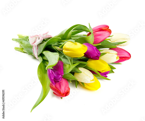 Fototapeta Naklejka Na Ścianę i Meble -  colorful tulips on white background