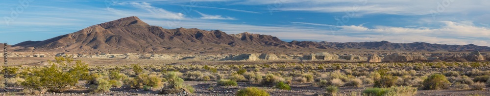 Desert Vista