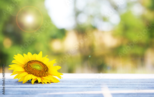 Fototapeta Naklejka Na Ścianę i Meble -  Beautiful sunflower on table outdoors