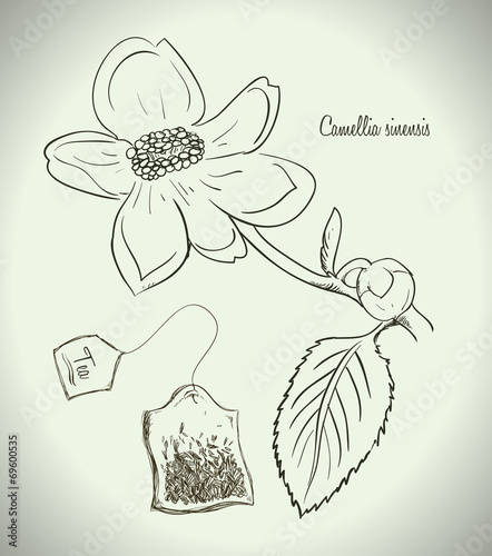 tea design