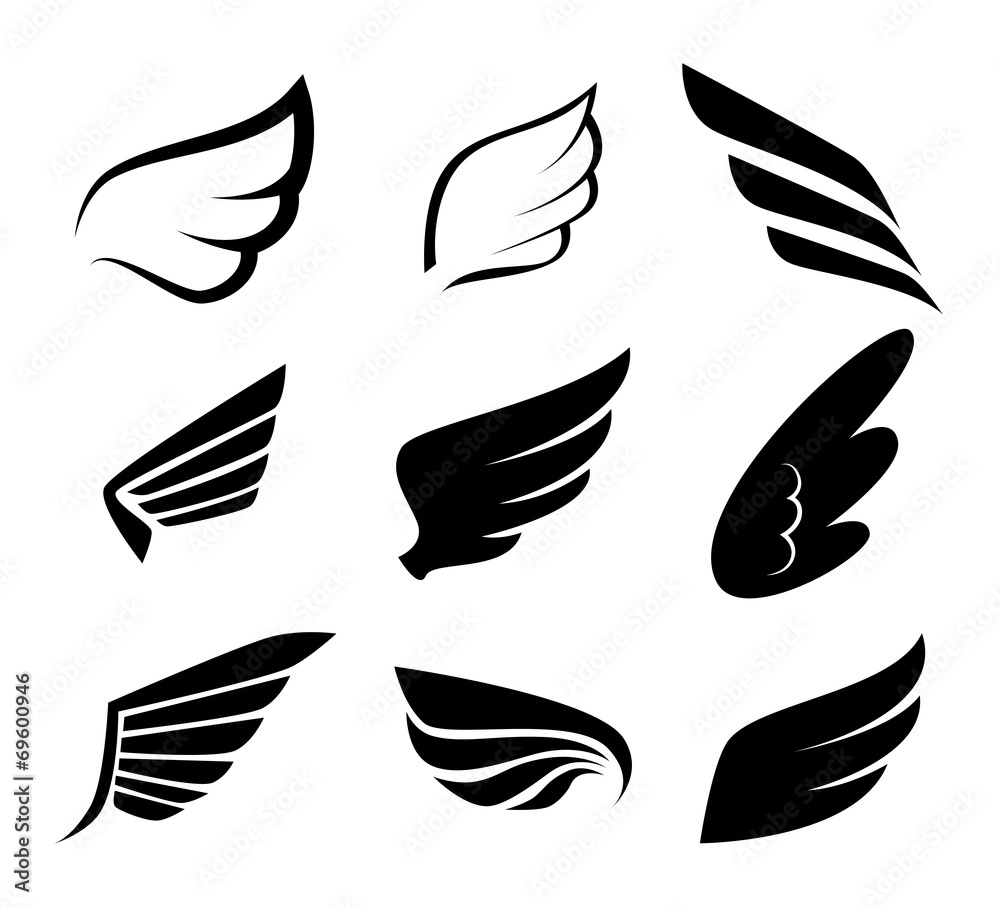 Wings design - obrazy, fototapety, plakaty 