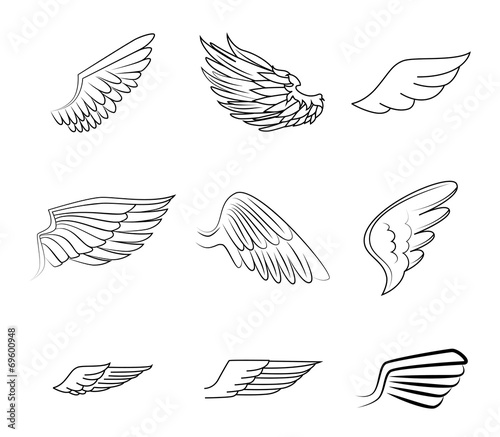 Wings design
