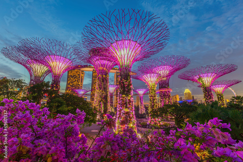 Canvas Print Night view of The Supertree Grove at Gardens by the Bay