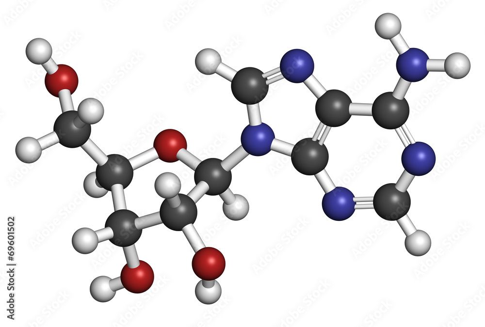 Adenosine (Ado) purine nucleoside molecule. Adenosine (Ado) purine nucleoside molecule.