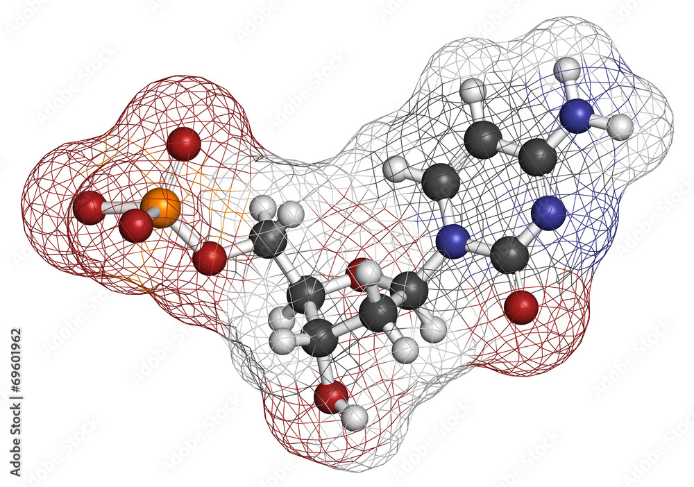 Obraz premium Deoxycytidine monophosphate (dCMP) nucleotide molecule. 