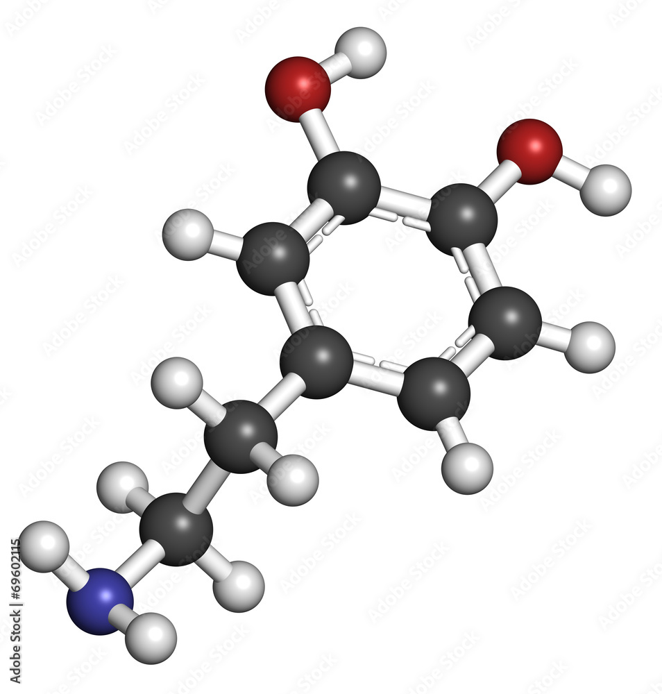 Dopamine neurotransmitter molecule. Catecholamine class compound Dopamine neurotransmitter molecule. Catecholamine class compound