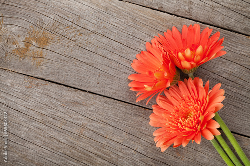 Fototapeta Naklejka Na Ścianę i Meble -  Orange gerbera flowers