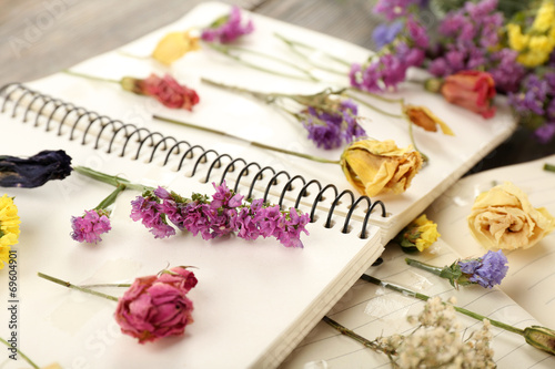 Composition with flowers and dry up plants