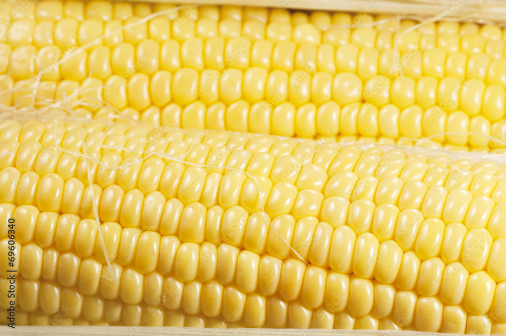 Corn cobs (maize) Corn cobs (maize)