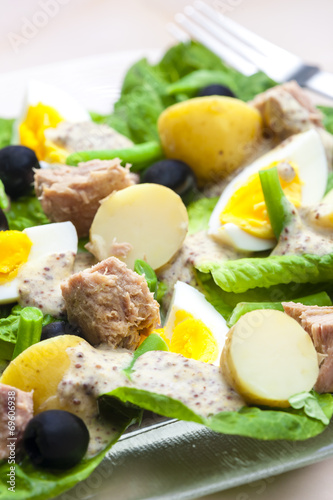 Nicoise salad