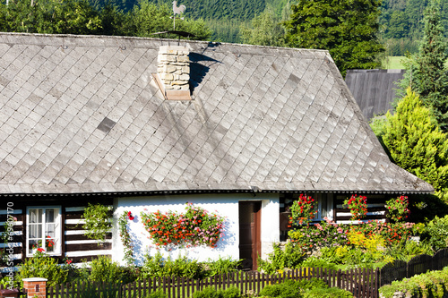 cottage with plants, Czech Republic #69607170
