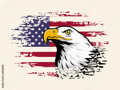 American eagle against USA flag background
