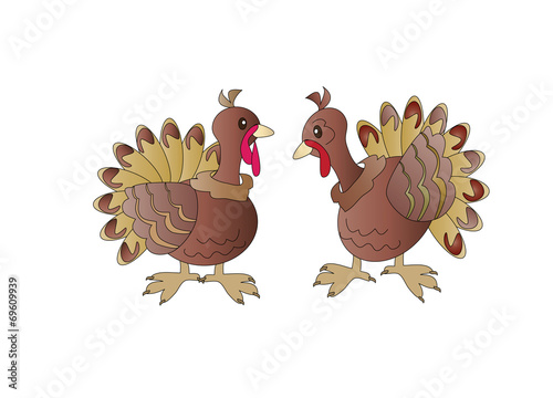 Two turkeys