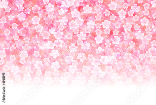 梅　年賀状　背景