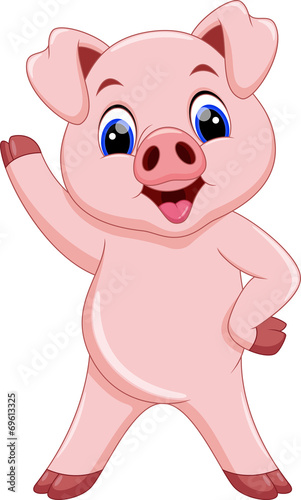 Cute pig cartoon