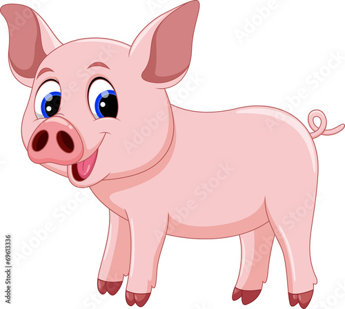 Cute pig cartoon
