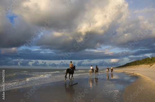 Horses on a beach