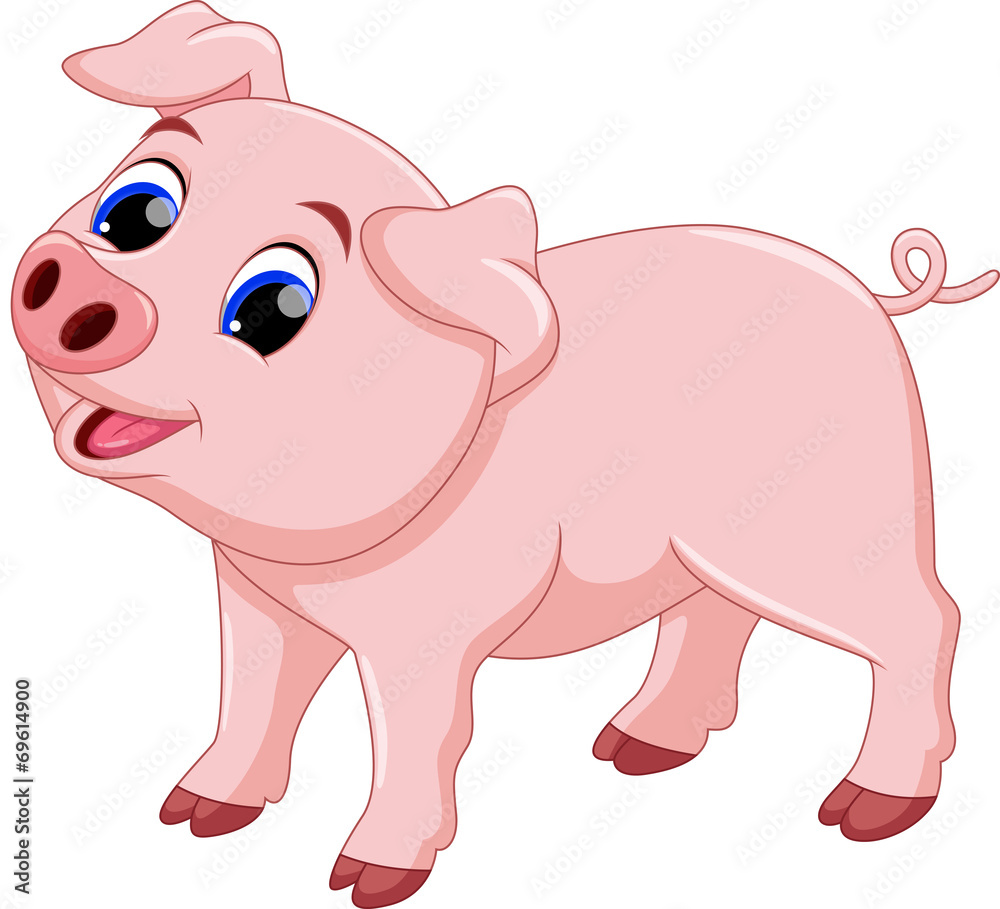 Cute pig cartoon Cute pig cartoon