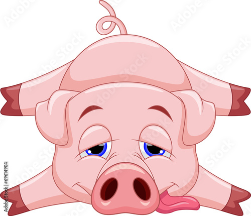 Cute pig cartoon