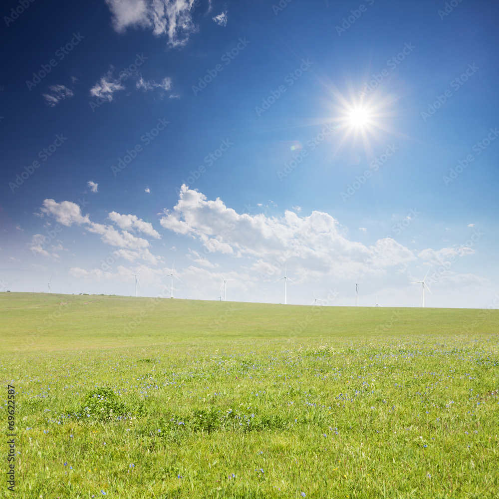 Obraz premium grass field under sunshine