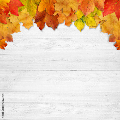 Fotografija Background  Autumn with wooden planks